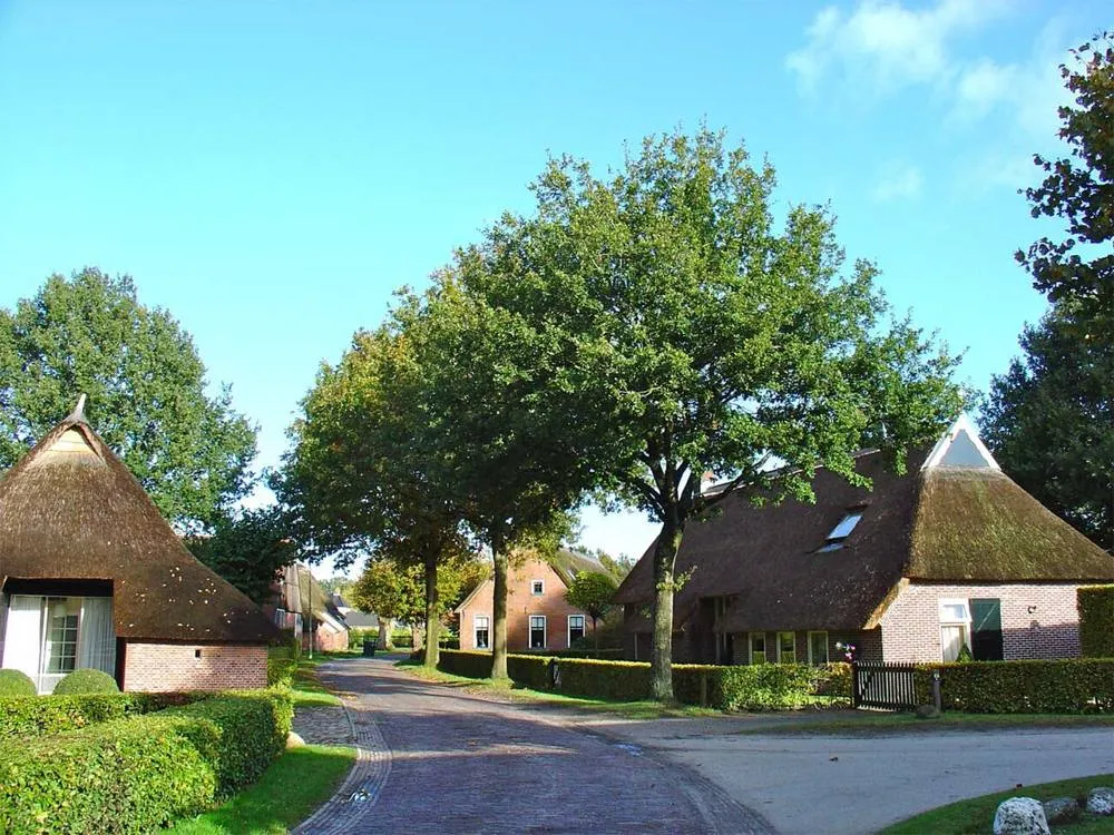 Norg: Norg dorpsgezicht