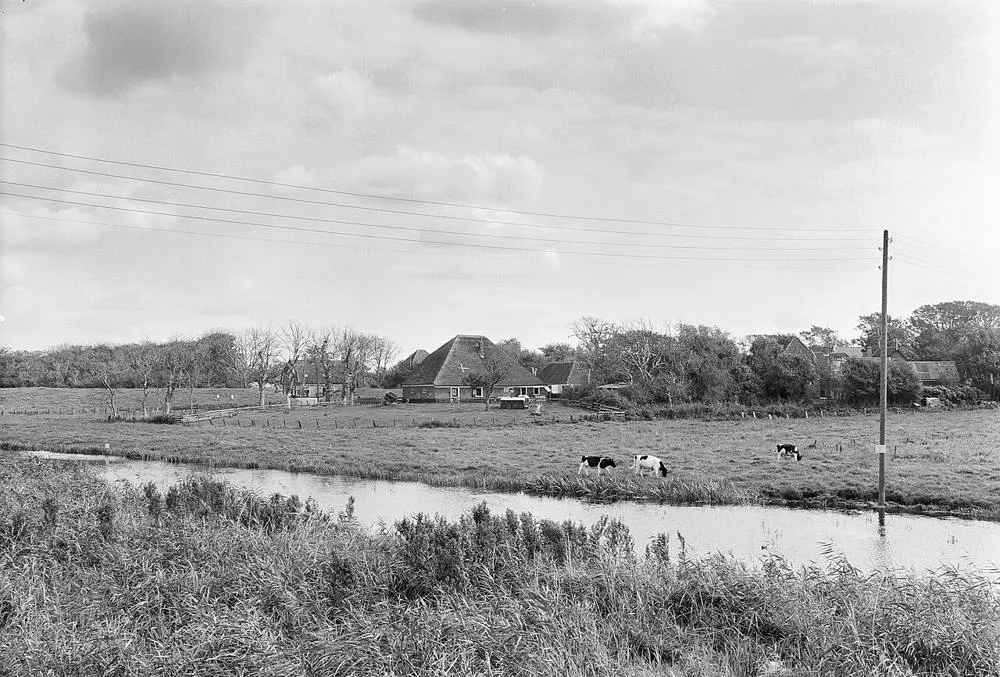 Groet: Overzicht - Groet - 20092064 - RCE